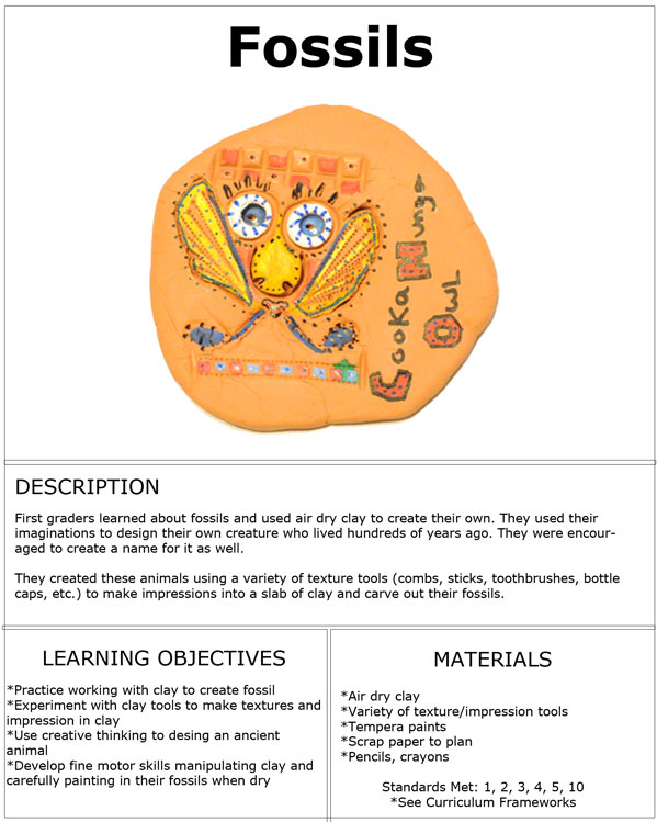 First Grade - fossils